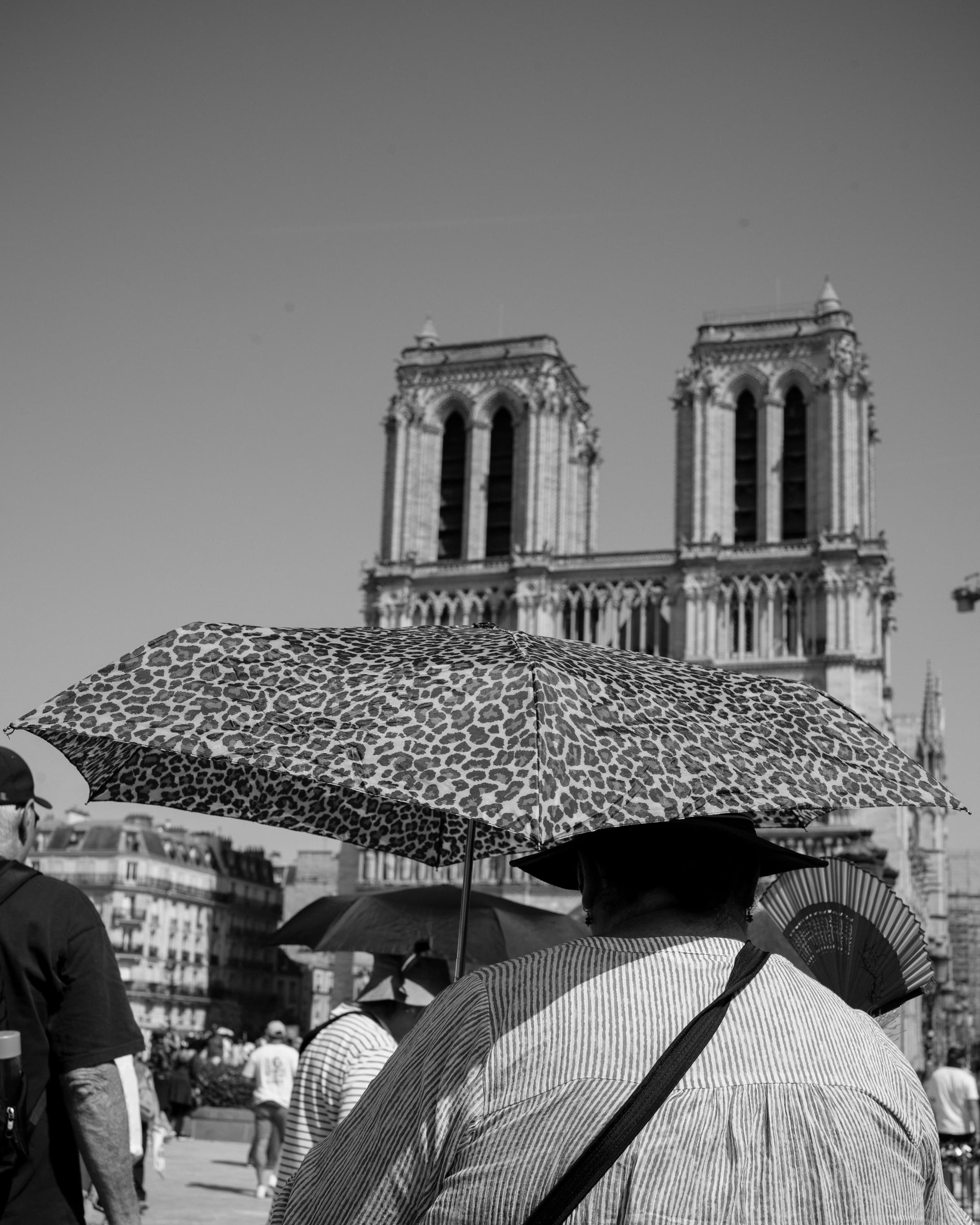 Umbrellas before Notre-Dame - notre-dame.